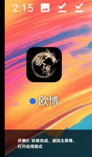 欧博Android 应用安装示意图8