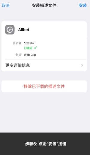 欧博ios 应用安装示意图6