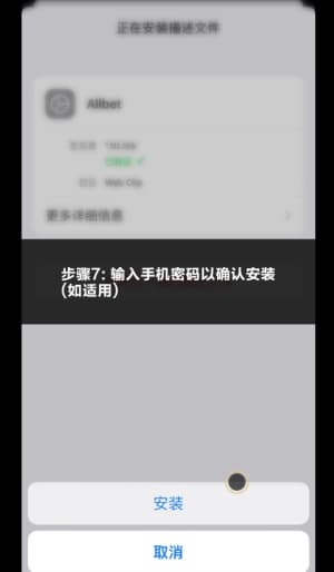 欧博ios 应用安装示意图7